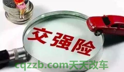 买车后每年的必要花费(新车有什么必要花费吗)  第2张