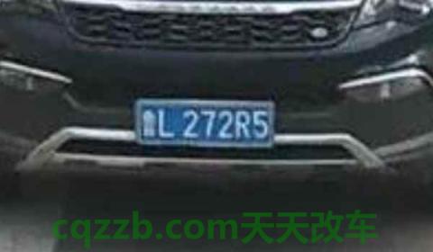 鲁l的车牌号是山东省哪里的(山东省车辆出现违章可以不处理吗)  第2张