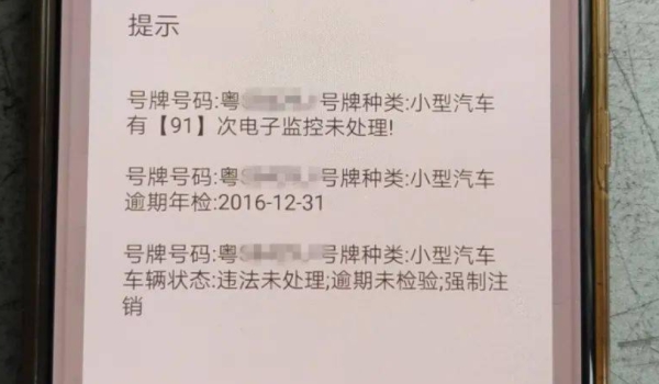 保险标志和年检标志是不是不用贴了(违章违法行为可以不处理吗)  第3张