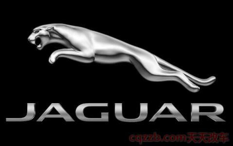 捷豹汽车车标上的动物是什么(捷豹被谁收购了) 第2张