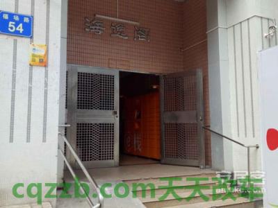 汽车知识：海悦_什么是海悦  第2张