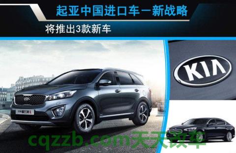 解答汽车：起亚(进口)厂商_什么是起亚(进口)厂商  第5张