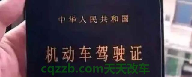 如何查看驾驶证还有多少分(机动车驾驶证最要报考年龄)  第1张