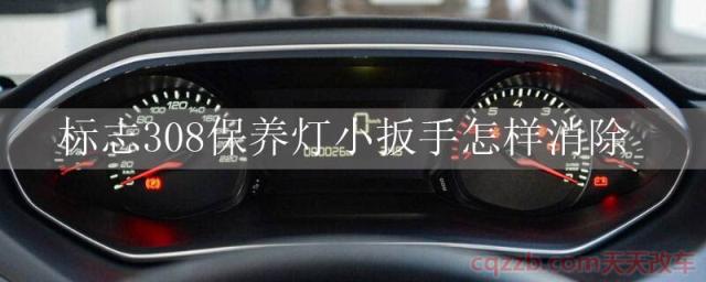 标志308保养灯小扳手怎样消除()