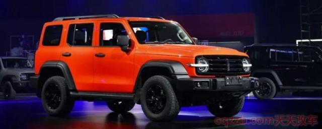 wey300是什么品牌车(wey300车辆的尺寸)