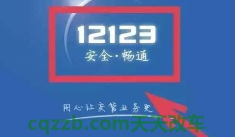 交管12123怎么交违章钱(交管12123可以绑定非本人机动车辆么)  第2张