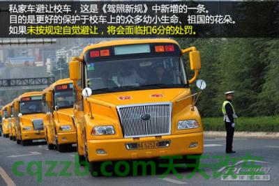 汽车疑问：2013新交规_什么是2013新交规  第11张