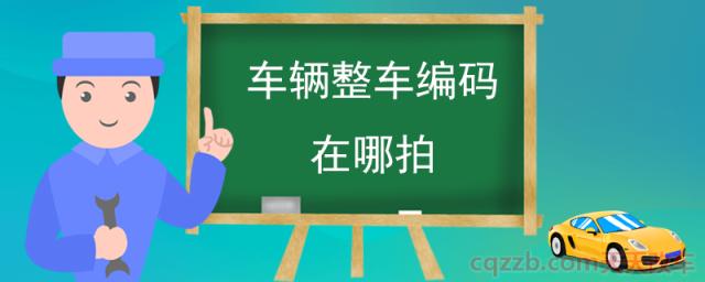 车辆整车编码在哪拍(整车编码位置规定)  第1张
