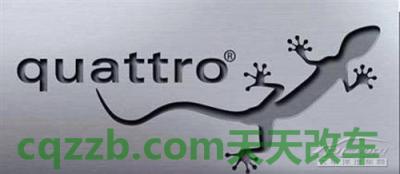 问题：quattro_什么是quattro