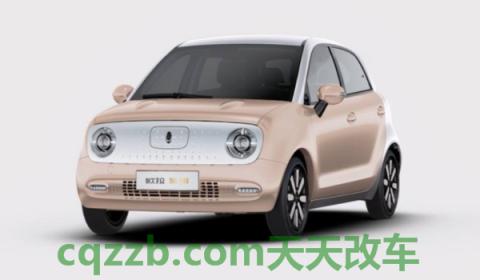 讲讲:欧拉黑猫不终身质保(欧拉黑猫的车身尺寸数据是什么) 第2张