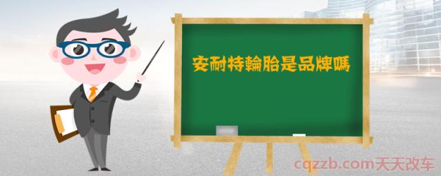 安耐特轮胎是品牌吗()