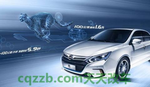 比亚迪标志(比亚迪旗下的车型)  第3张