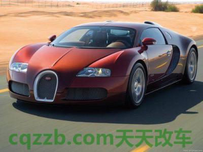 了解：布加迪_什么是布加迪  第4张