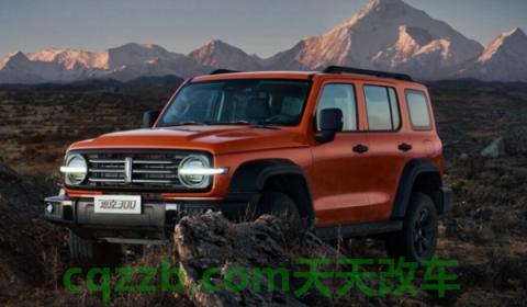 说道一下：塔克300是那个厂家的汽车(坦克300的车身尺寸数据是什么)  第3张