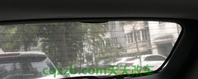 车里面的蚊子跟着车飞吗(车辆多久清理一次)