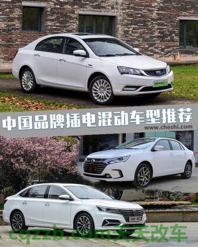 有用：轻混动车和插电混动哪个好 青岛二手车大市场  第2张