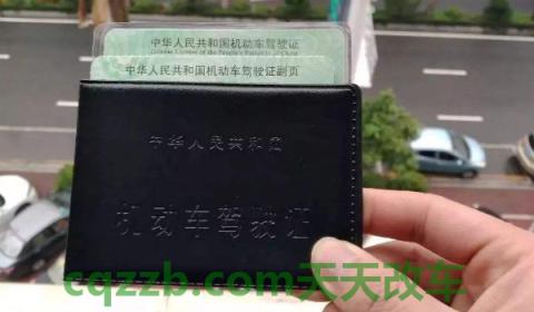 驾驶证丢失怎么办挂失(机动车驾驶证丢失可以驾驶车辆吗)  第3张