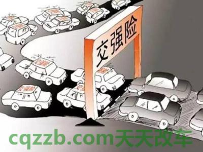 有用：机动车强制险每年交吗_交通问题  第4张