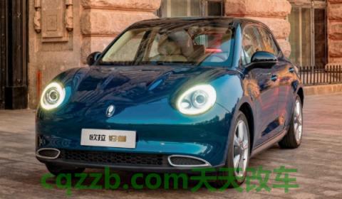 欧拉好猫是什么车(欧拉好猫的底盘转向系统)  第3张