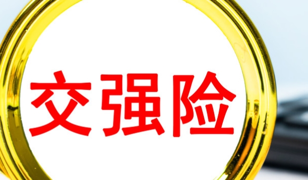 不买交强险上路会怎样(交强险怎么购买)  第2张