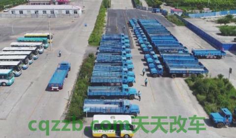 b 照扣一分怎么办(B照可以驾驶什么车)  第3张