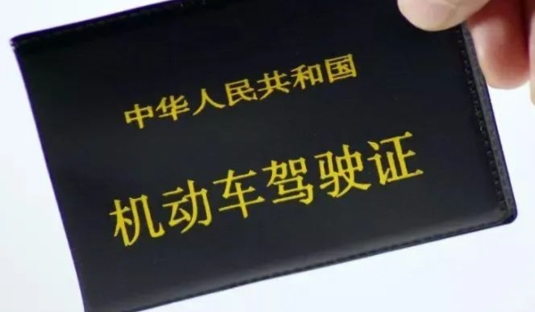 电子驾照是什么(开始机动车电子驾驶证的城市都有哪些)  第2张