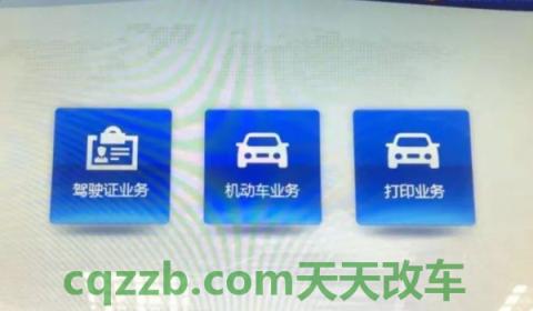 扬州车牌是苏什么开头(从车辆号牌上可以观看哪些信息)  第3张