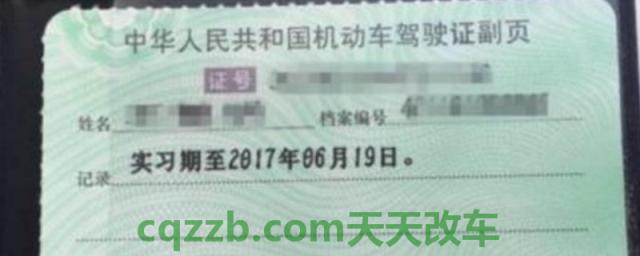 驾驶证副页丢了怎么办(机动车驾驶证如何获得) 第1张