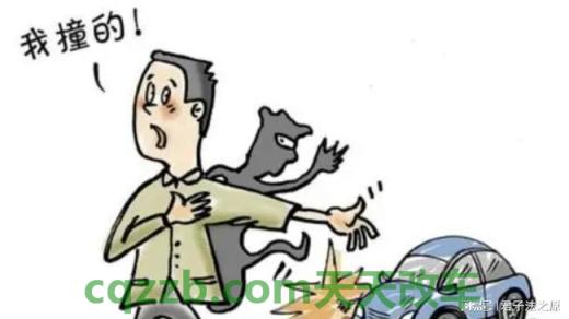 问答：无证驾驶撞死人判几年_交通问题  第2张