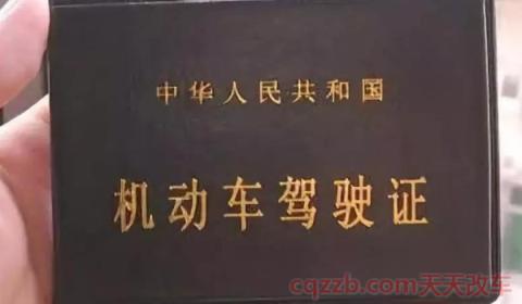 忘带驾驶证(机动车驾驶证如何获得) 第2张