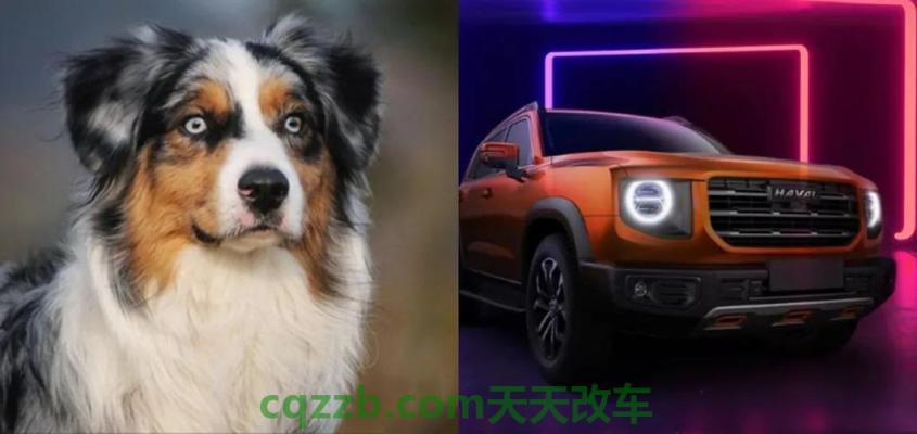 疑问：哈弗大狗试驾评测,哈弗大狗动力怎么样? 哈弗大狗四驱越野性能测试,哈弗大狗越野试驾  第3张