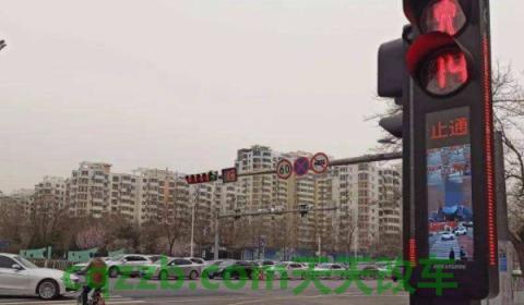 解说一下:红绿灯停车挂什么档位(车辆闯红灯的行为如何处理) 第3张