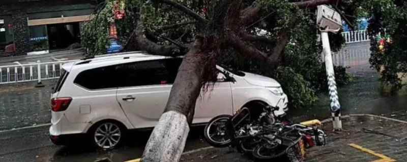 车子被雷击保险赔吗(机动车辆怎样报保险)