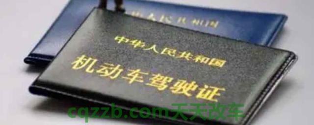 驾驶证换证本人不去可以办理吗(可以在网上换证吗)  第1张