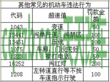车知识：违章代码1005是代表什么意思_交通问题