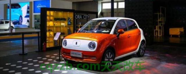 欧拉r1胎压监测复位(欧拉r1使用的电机类型)