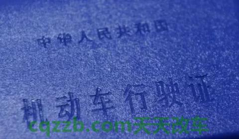 扬州车牌是苏什么开头(从车辆号牌上可以观看哪些信息)  第2张