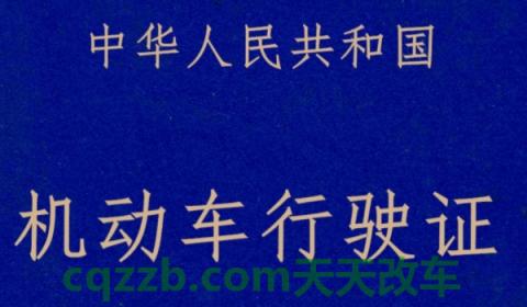 陕m是哪里的车牌号(机动车辆号牌丢失在哪里补办)  第3张