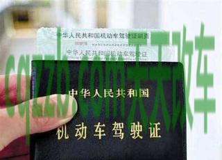 了解汽车：驾驶证到期去哪里换_交通问题