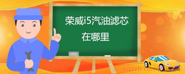 荣威i5汽油滤芯在哪里(汽油滤芯保养周期)