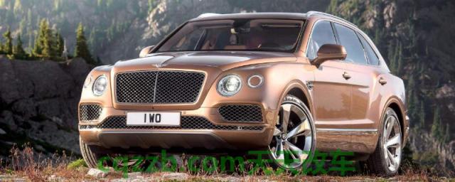 5米以上的轿车有哪些()