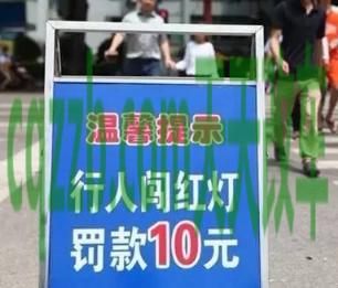 汽车问答：行人闯红灯罚款多少钱怎么交_交通问题