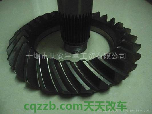 分享:盆角齿_什么是盆角齿 第2张