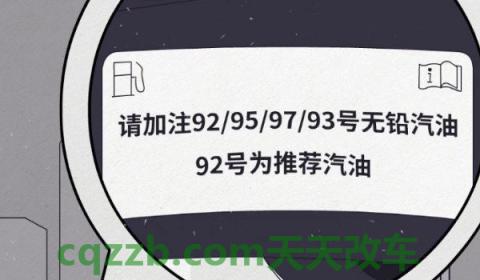 冬天加95号汽油好打火吗(如何确定车辆的使用燃油标号)  第2张