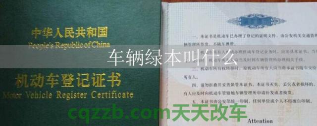 车辆绿本叫什么()