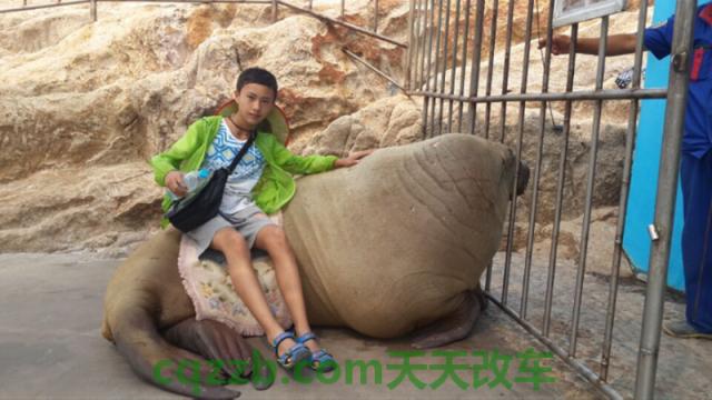汽车疑问：何骏杰_什么是何骏杰  第2张