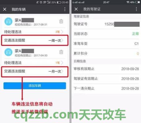 车知识：交警怎么查驾驶证_驾驶证  第2张