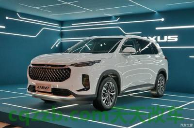 车回答：上汽MAXUS_什么是上汽MAXUS  第2张