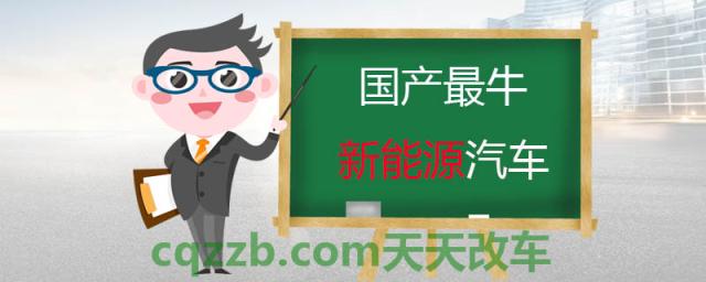 国产最牛新能源汽车()
