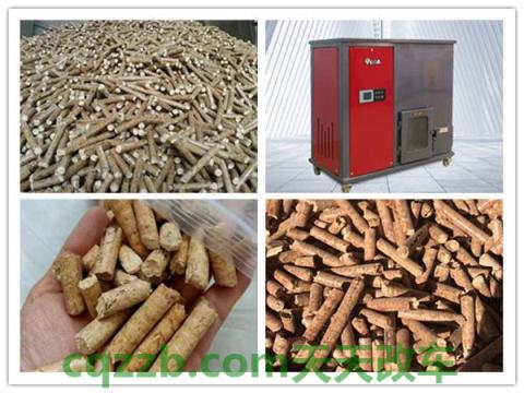 了解汽车：生物燃料_什么是生物燃料  第4张